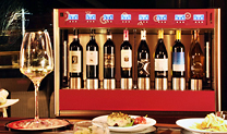 Wine dispenser system 